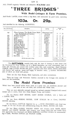 timeline 1917 A New Beginning