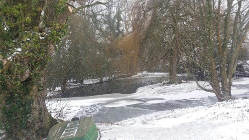 Snowy Frozen Pond