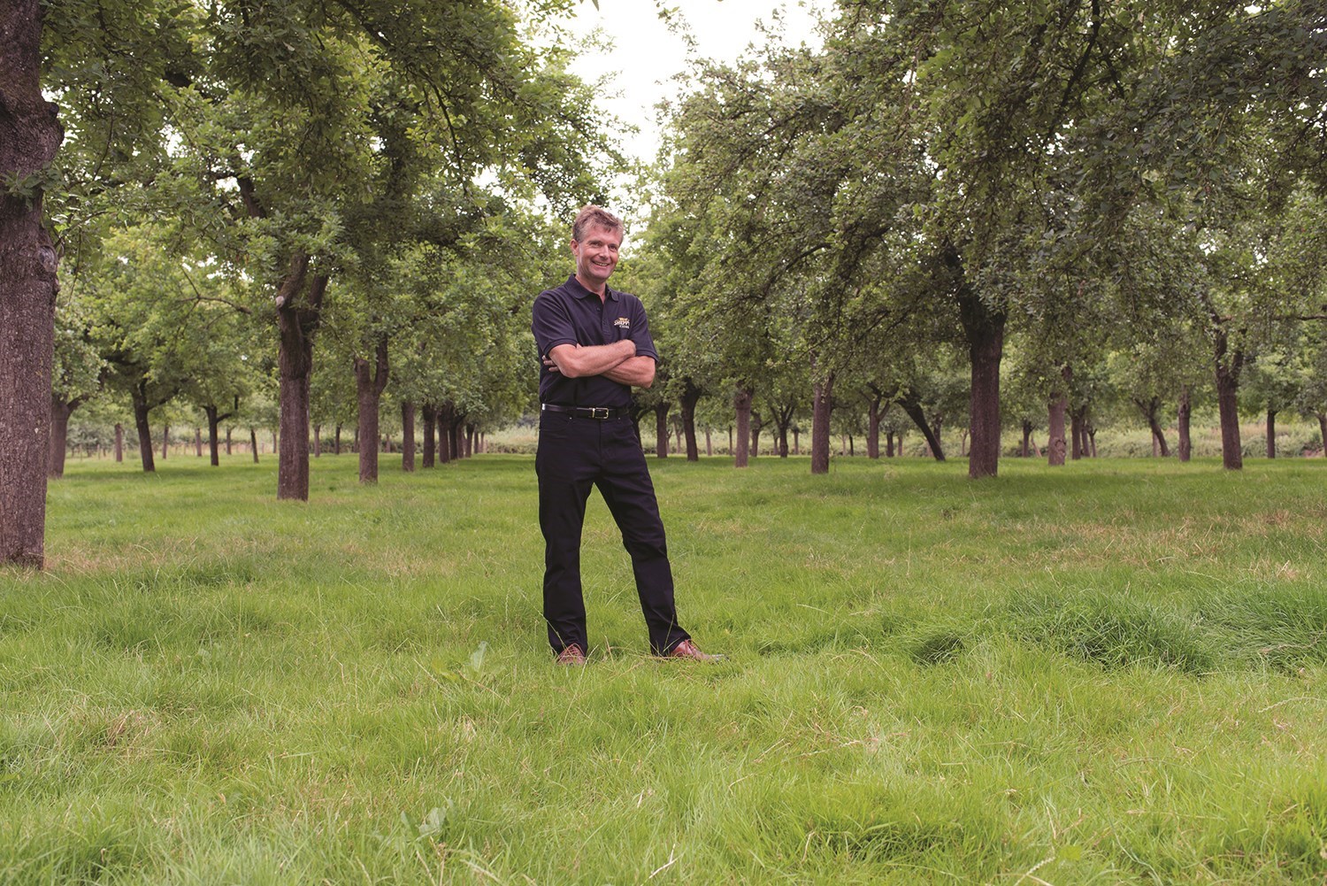david-sheppy-in-orchard-websize-colour