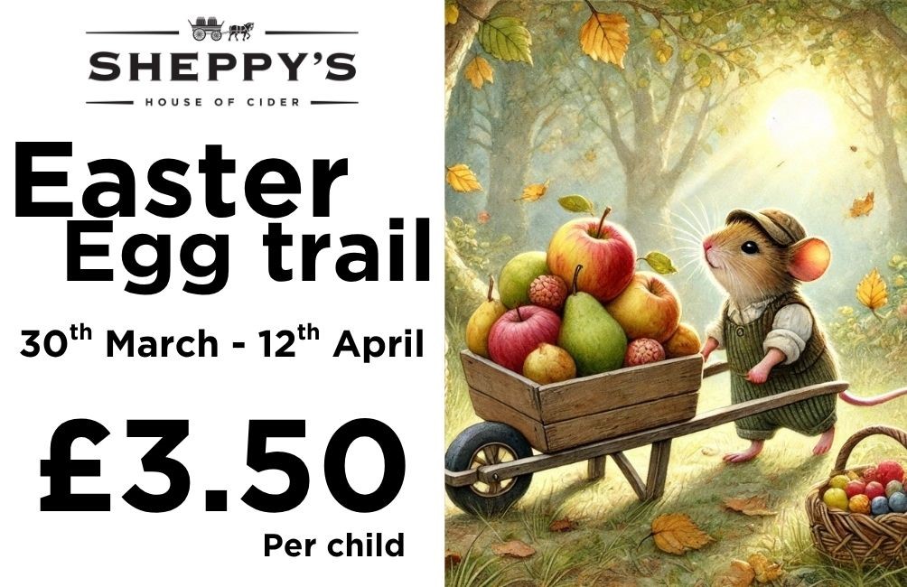 25-table-cards-events-46