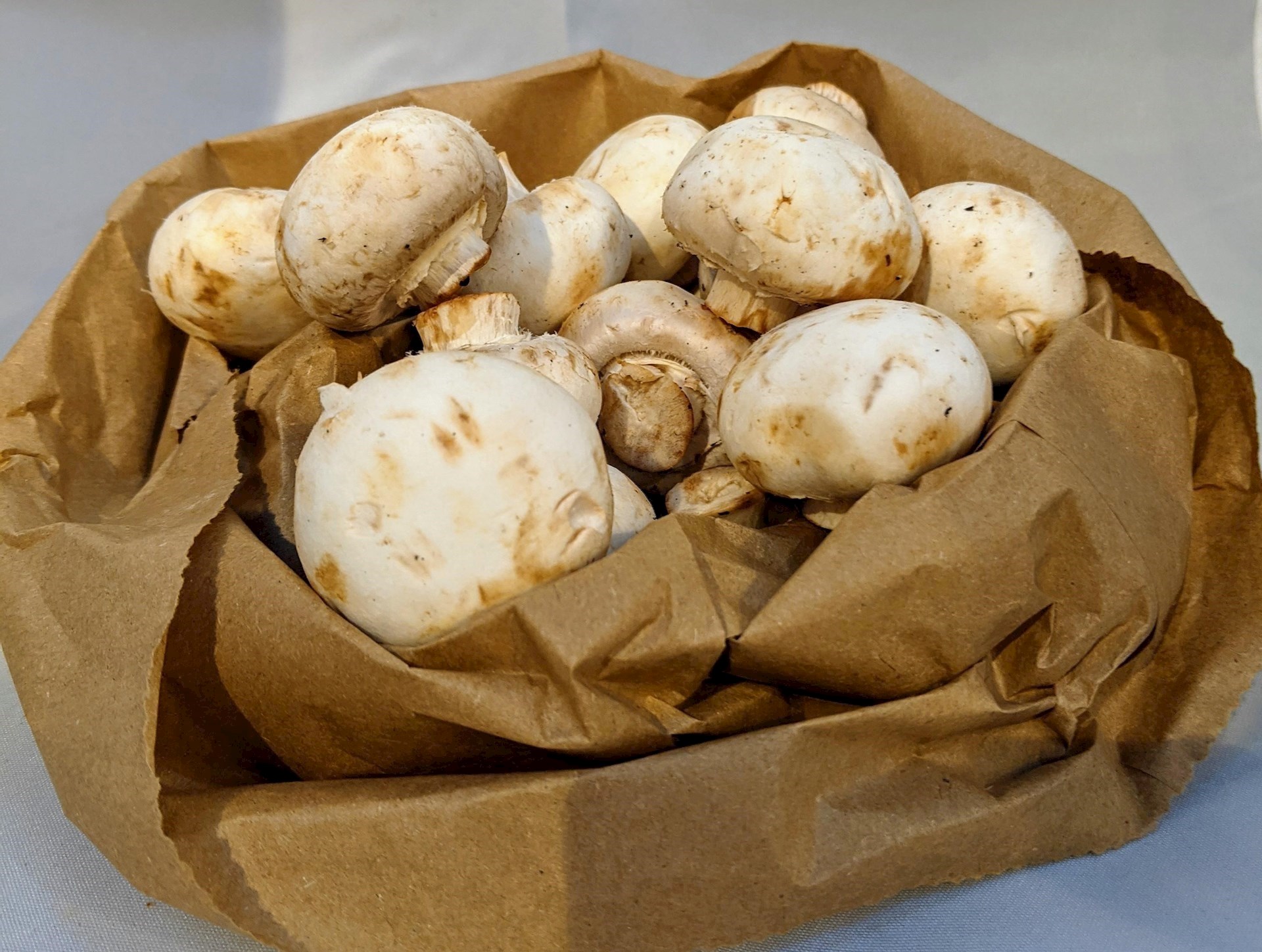 Mushrooms