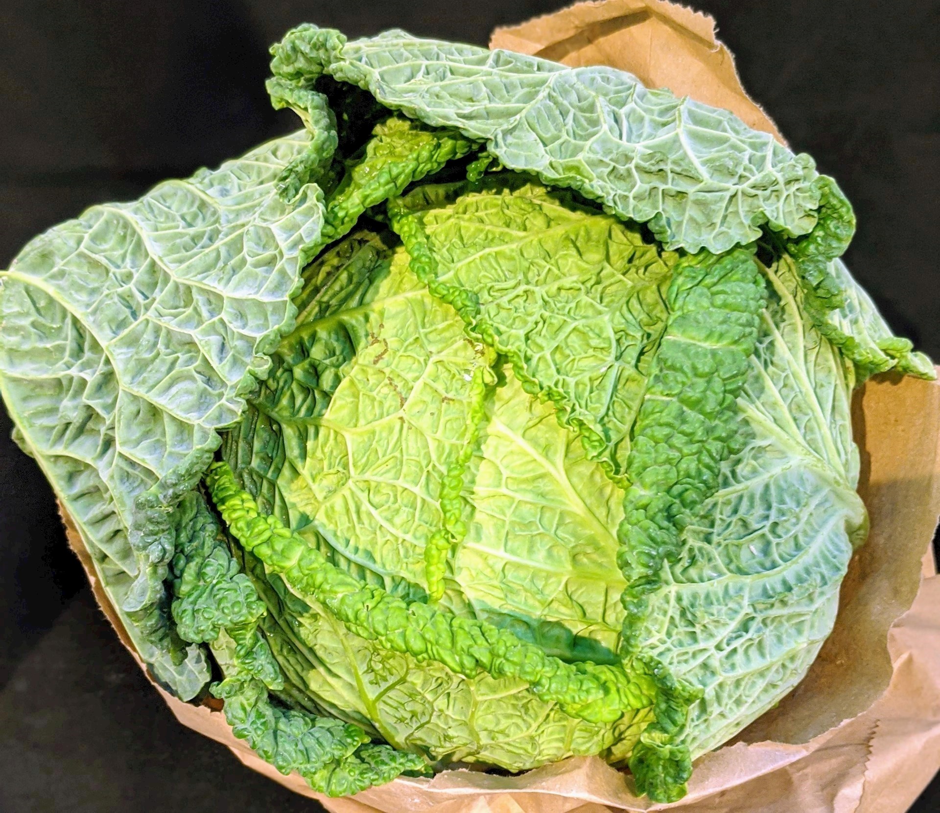 Cabbage