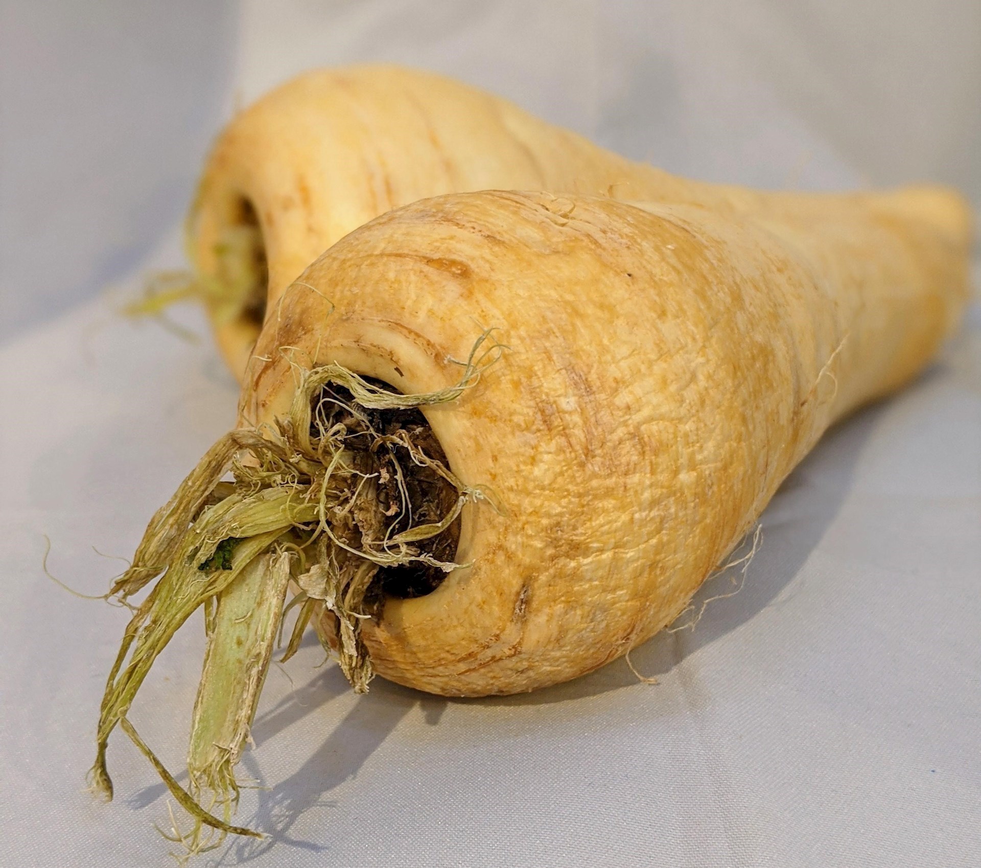 Parsnip