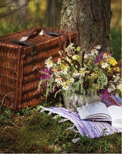 Child Picnic Box