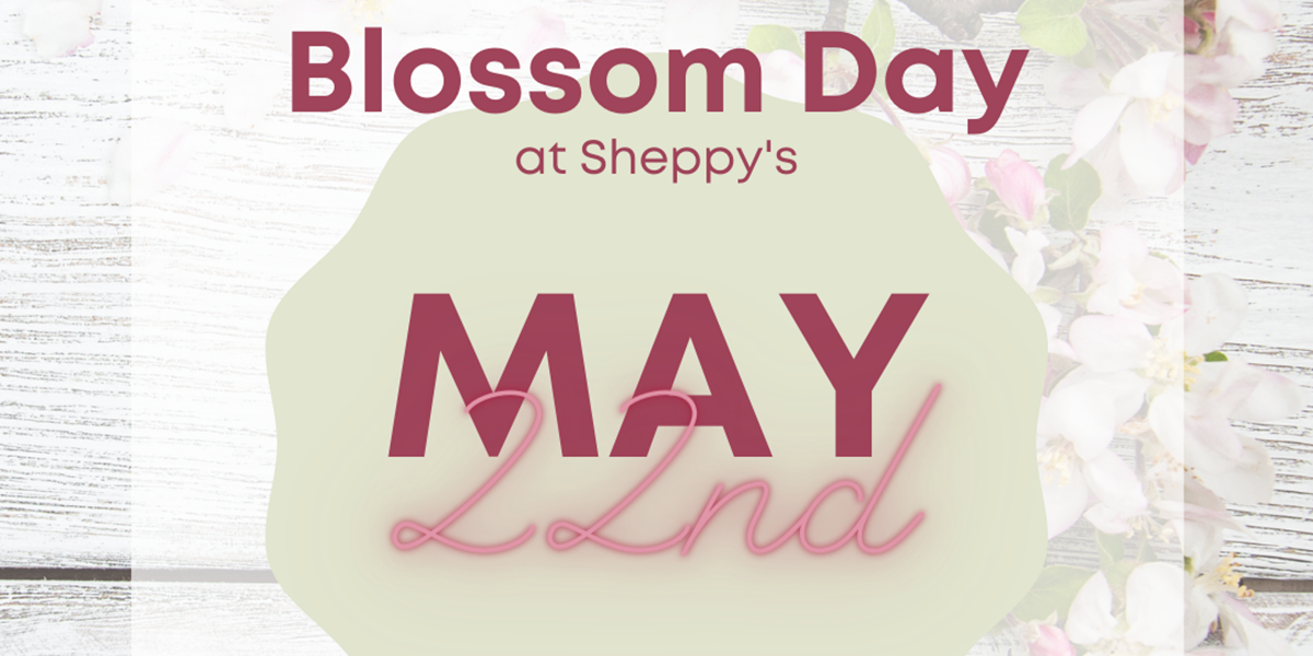 blossom-day-square