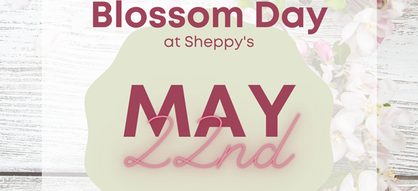 blossom-day-square
