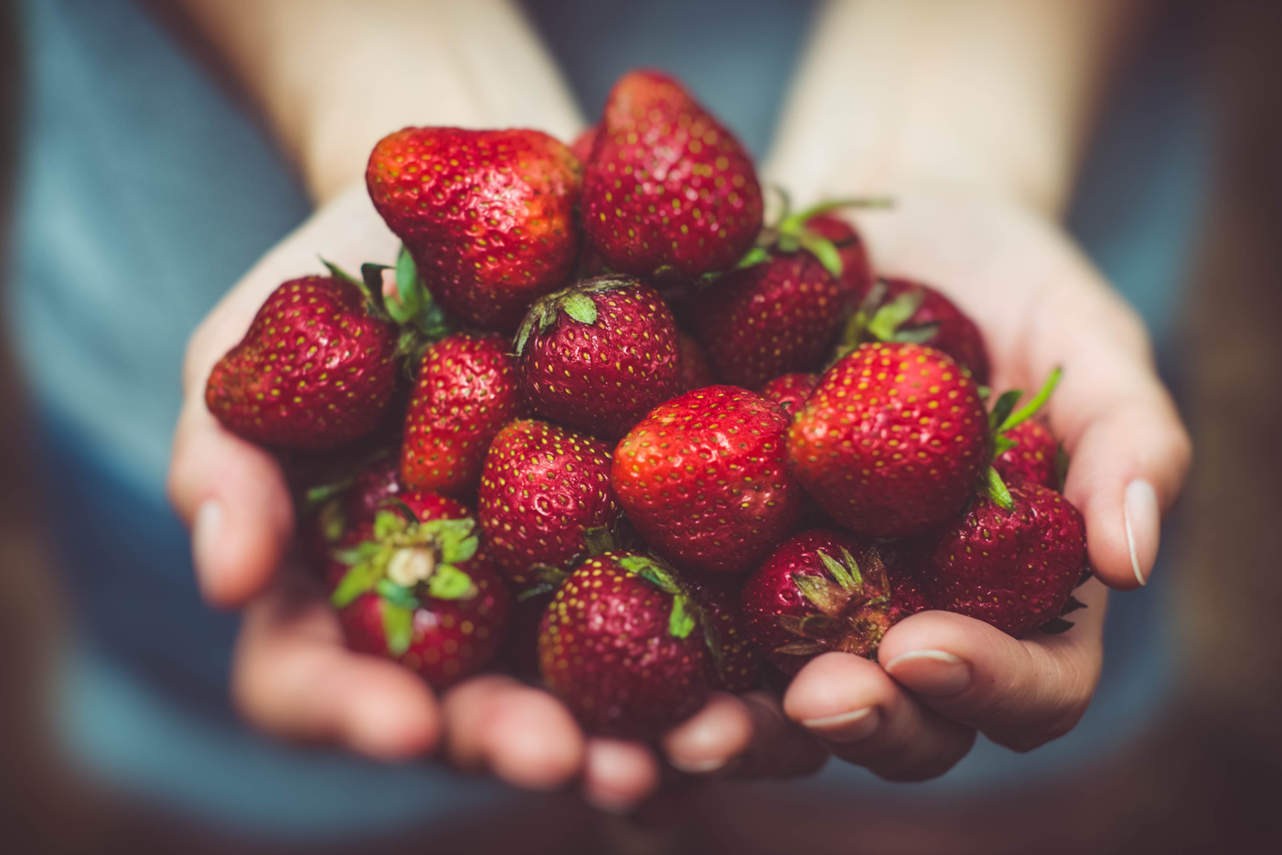 strawberries