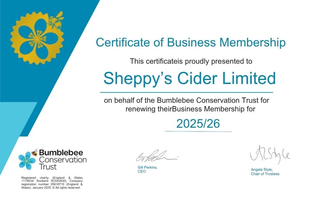 bumble-cert