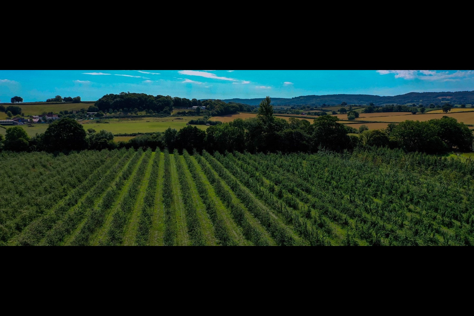 dji_0617