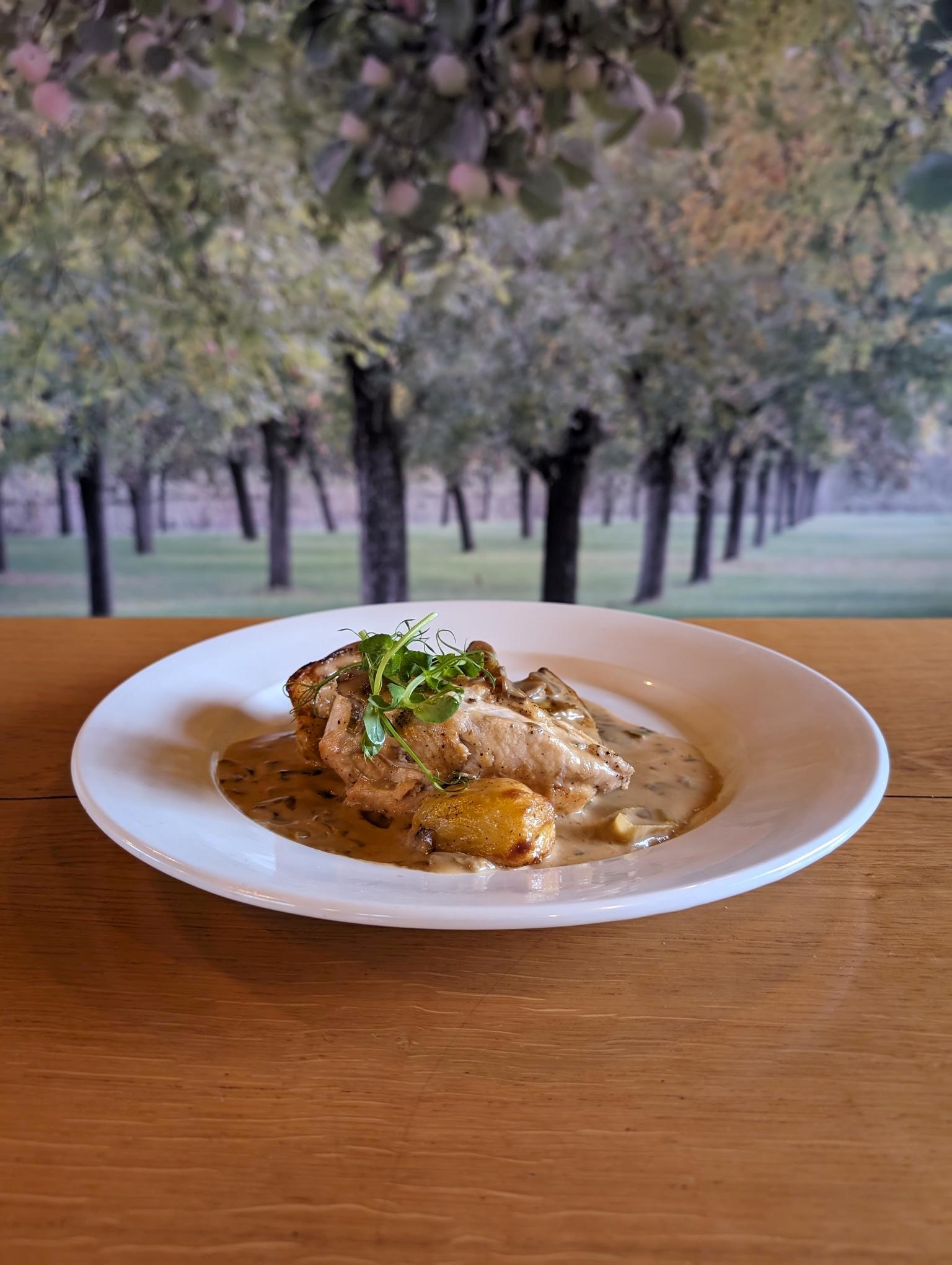 mothers-day-2024-tarragon-chicken-port