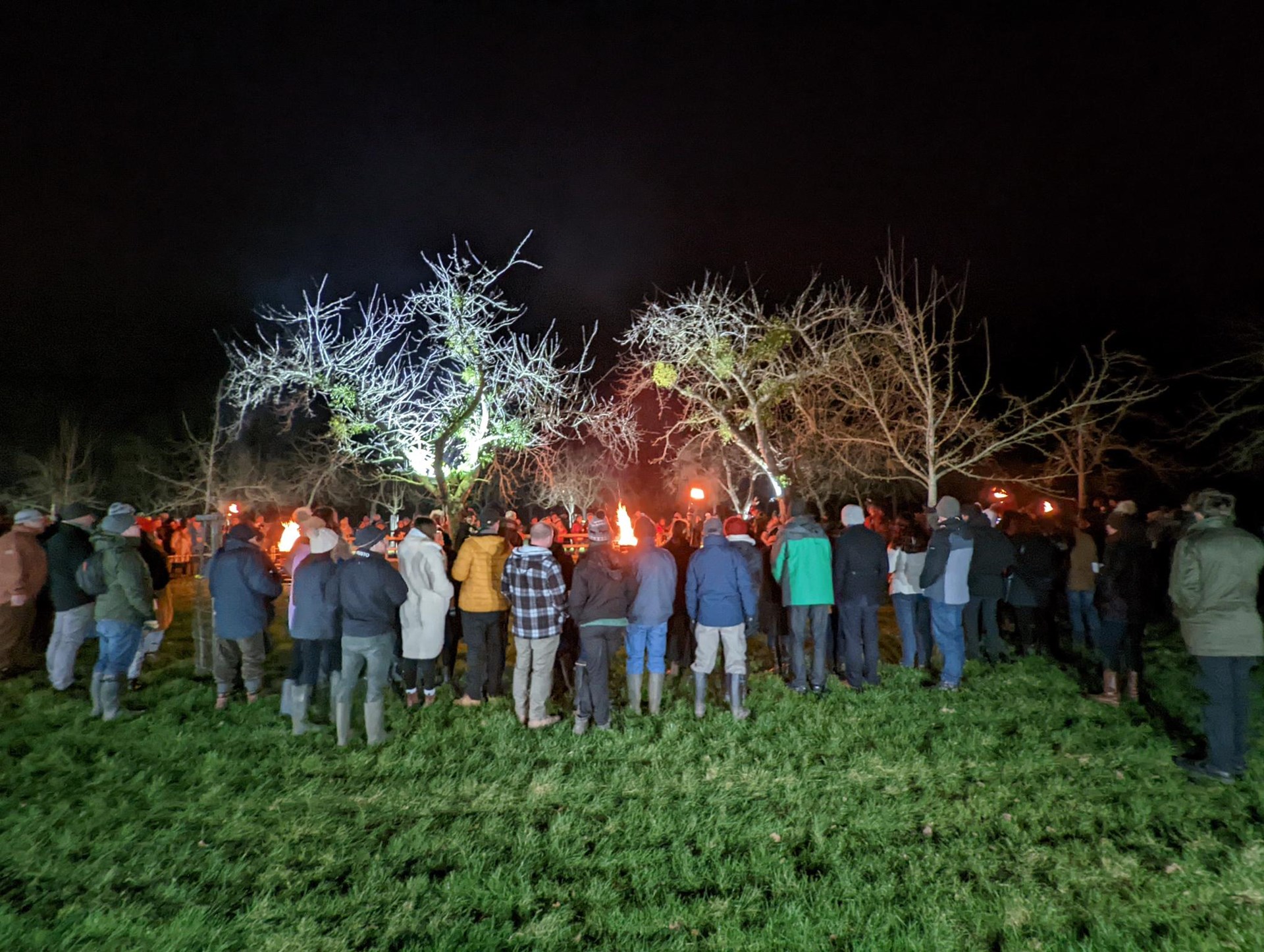 wassail-22-8
