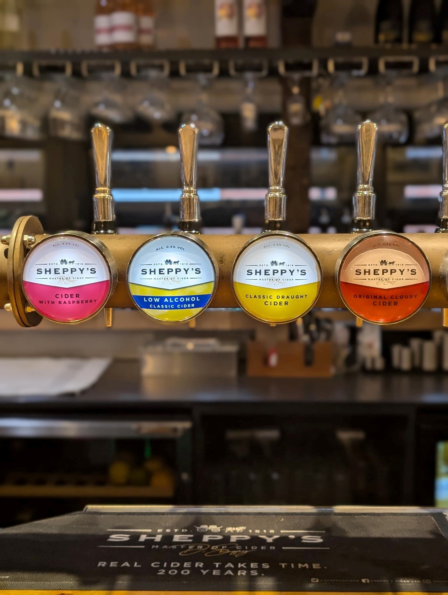 pxl_20240905_144742676-portrait