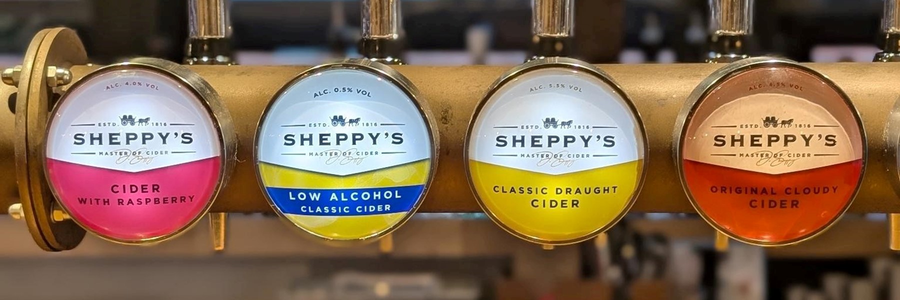 pxl_20240905_144742676-portrait