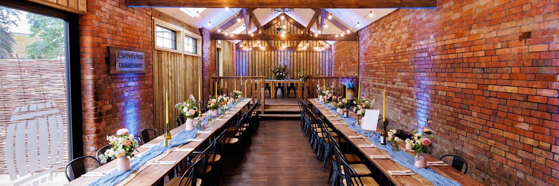 20240819_element_shep43910-enhanced-nr