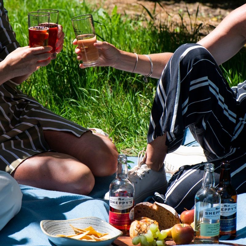 picnic