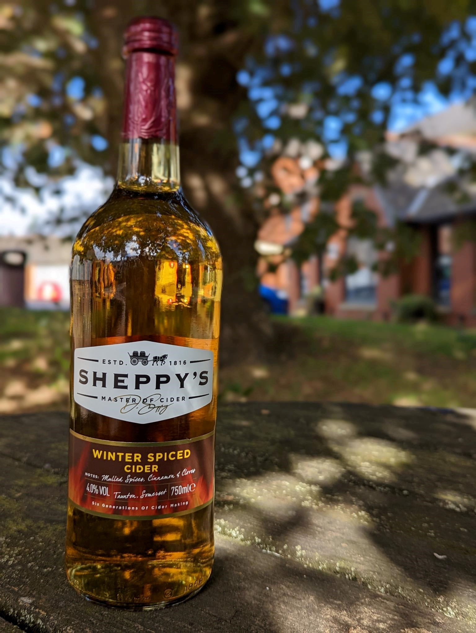 winter-spiced-portrait-2022