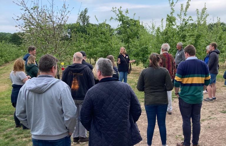 wendy-tour-landscape