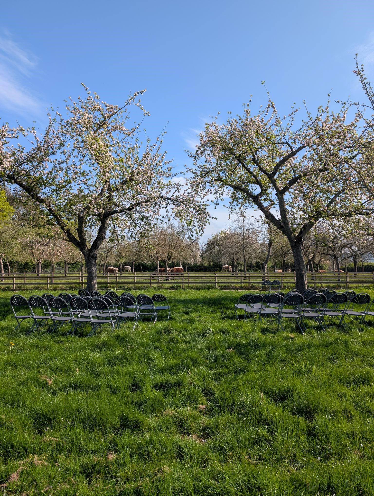 pxl_20250425_144838936-raw-01-cover