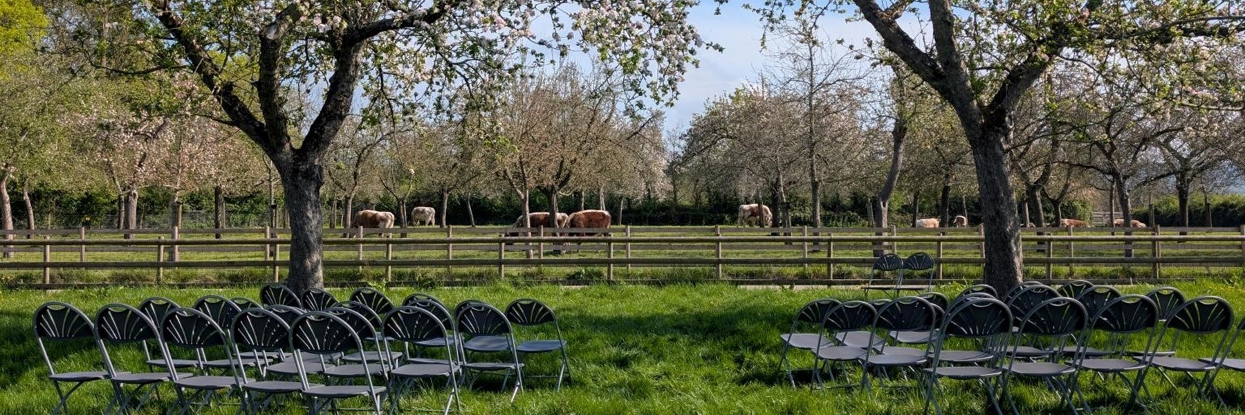 pxl_20250425_144838936-raw-01-cover