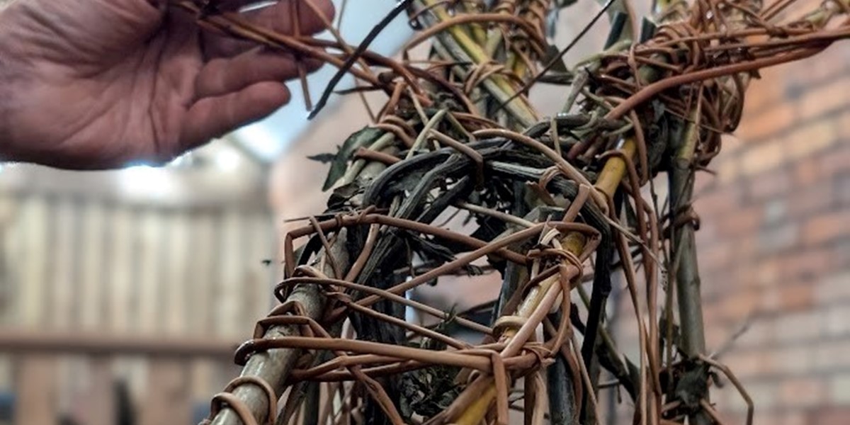 pxl_20241106_164140199-portrait